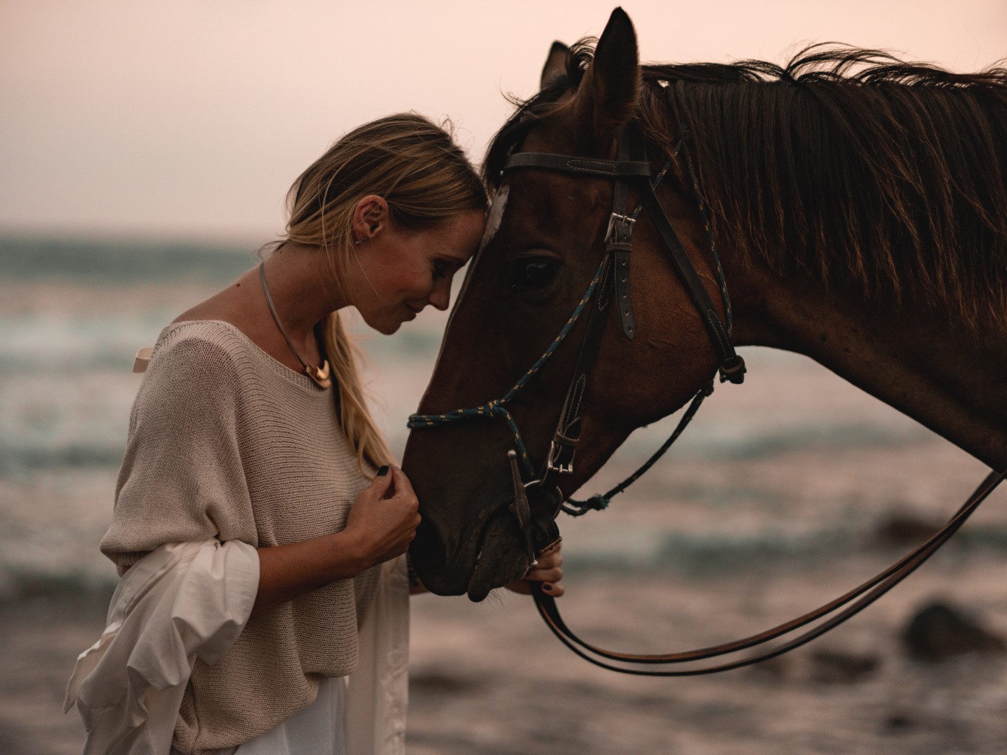 VenusSunrise HorseRiding 2 Large - Horse Riding in Santorini with Venus Sunrise Santorini