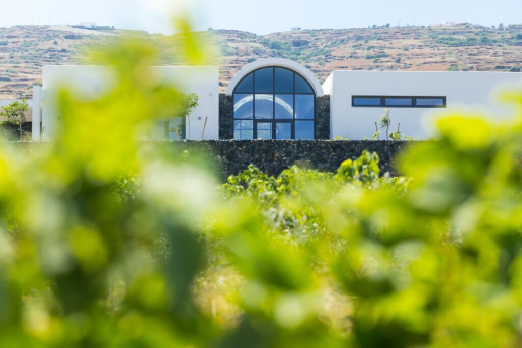 image00003 Large - Discover Vourvoulos: Santorini’s Best-Kept Secret for Sunrise, Serenity, and Authentic Cycladic Life Discover Vourvoulos: Santorini’s Best-Kept Secret for Sunrise, Serenity, and Authentic Cycladic Life